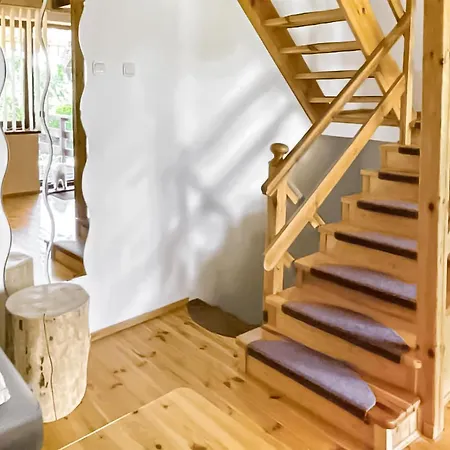 Pet Friendly In Apartment *