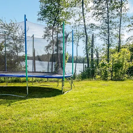 Pet Friendly In Apartment *